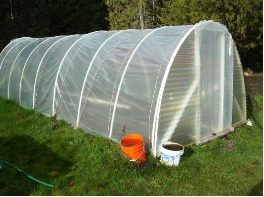 Hoop houses consist of a PVC pipe frame covered by 6 mil thick clear polyethylene plastic. Photo courtesy of Muriel Nesbitt