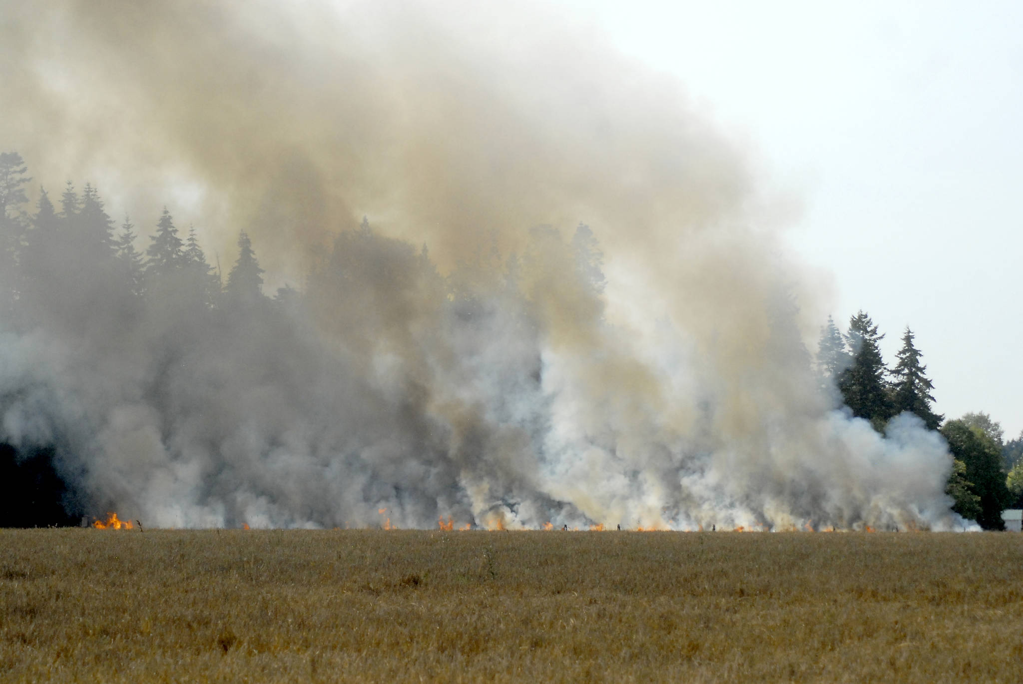 Smoke and flames fan across a farm field west of Carlsborg Road near Sequim Valley Airport after a combine caught fire and spread into surrounding vegetation on Friday afternoon. Photo by Keith Thorpe/Olympic Peninsula News Group