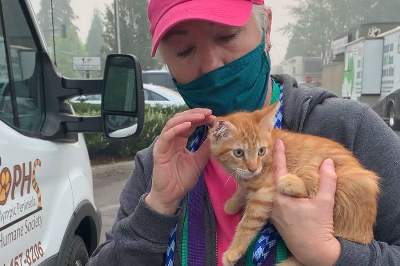 OPHS provides aid to animals from wildfire-ravaged areas
