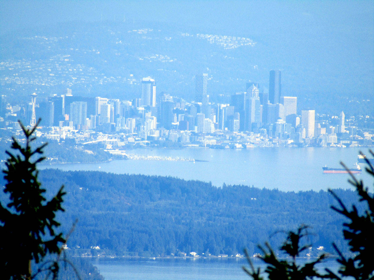 Downtown Seattle appears through the trees from Mount Walker’s south viewpoint Sunday, Sept. 20. Photo by Rob Ollikainen/Olympic Peninsula News Group