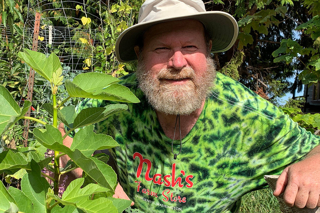 Learn how to grow figs in Green Thumbs presentation