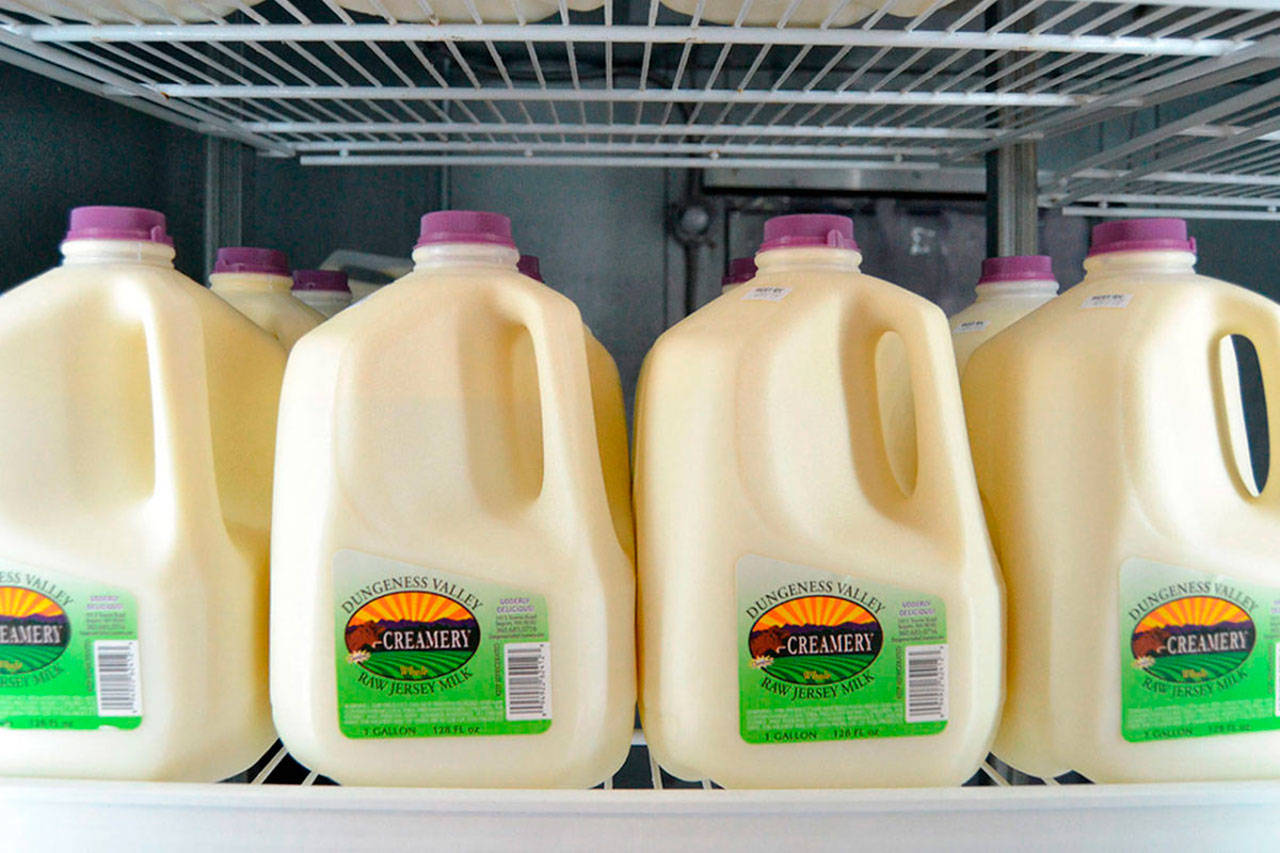 Owners of Dungeness Valley Creamery asked customers who have cream and raw milk from Sept. 29 and 30 to discontinue use of it due to possible contamination of e. Coli. Routine sampling found one cream sample with e. Coli, but later samples have come up clean and the products continue to be on store shelves. Sequim Gazette file photo by Matthew Nash