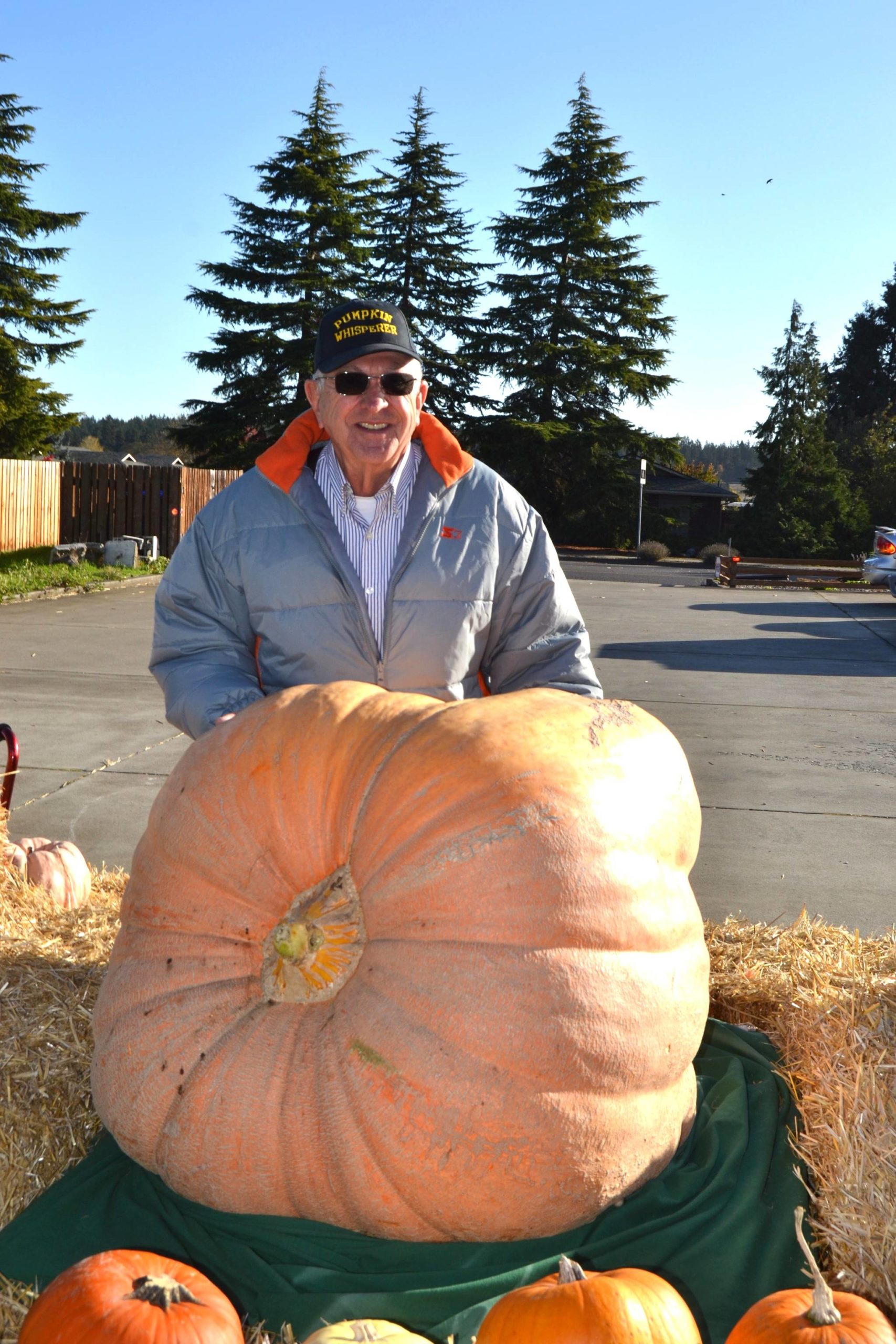 Ross Osborn brought his giant pumpkin to JACE Real Estate Company to share with people for Halloween. Visitors can guess its weight and/or post selfies to JACE’s social media page for a chance to win local gift certificates. Sequim Gazette photo by Matthew Nash