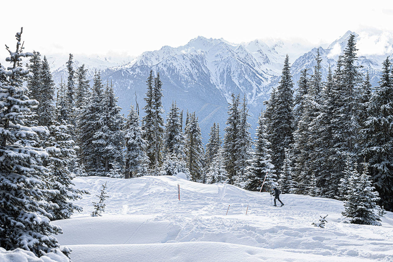 A cross-country skier enjoys a day at Hurricane Ridge. Photo by Dan Sullivan/National Park Service