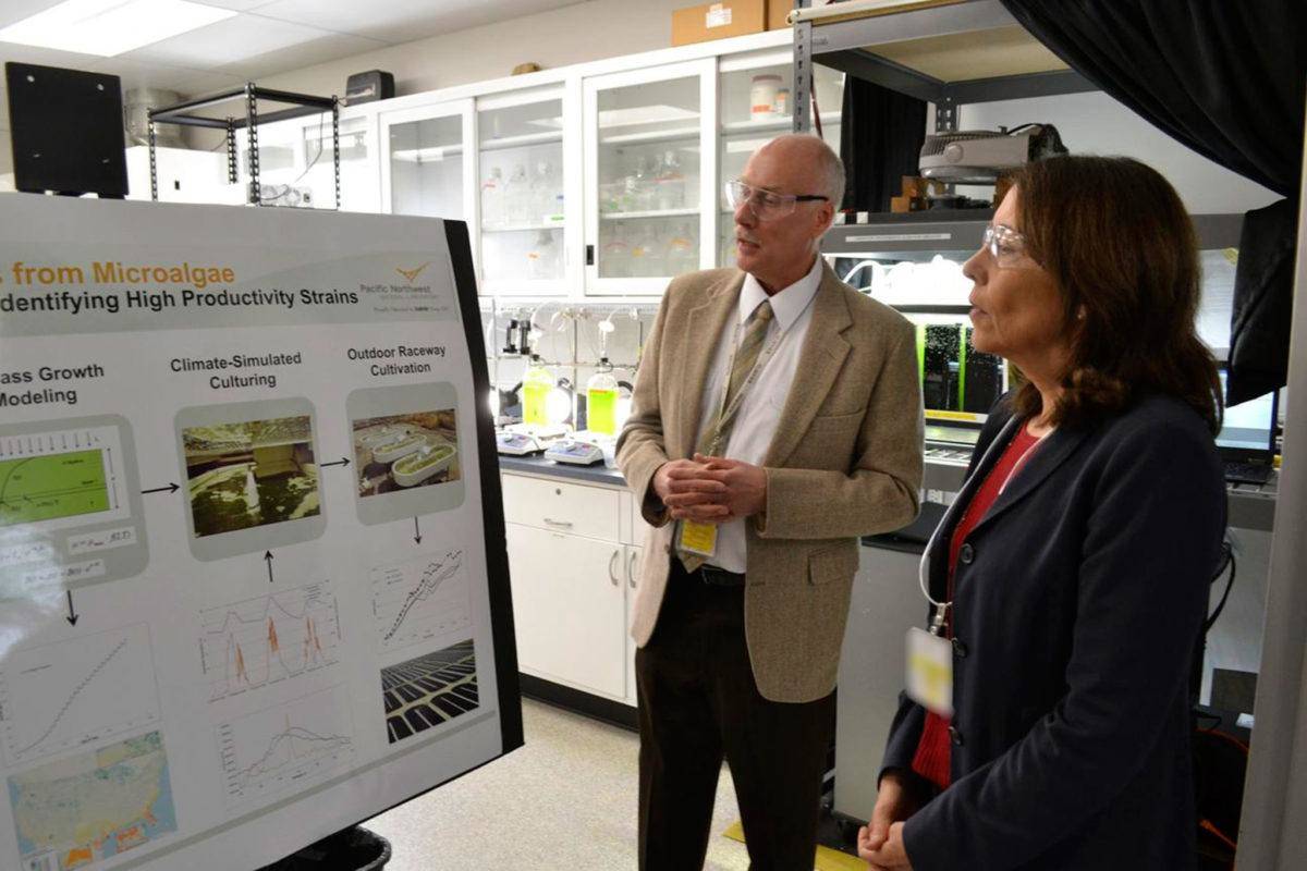 More than 100 projects remain active at the Marine and Coastal Research Laboratory with support from federal, state and private sponsors. In July 2016, Dr. Michael Huesemann, lead researcher for the algae biofuel program in Sequim’s Pacific Northwest National Laboratory, meets with U.S. Sen. Maria Cantwell briefly about algae and its potential. His current project looks to find the best growing conditions for algae to harvest biofuel quickly. Sequim Gazette file photo by Matthew Nash