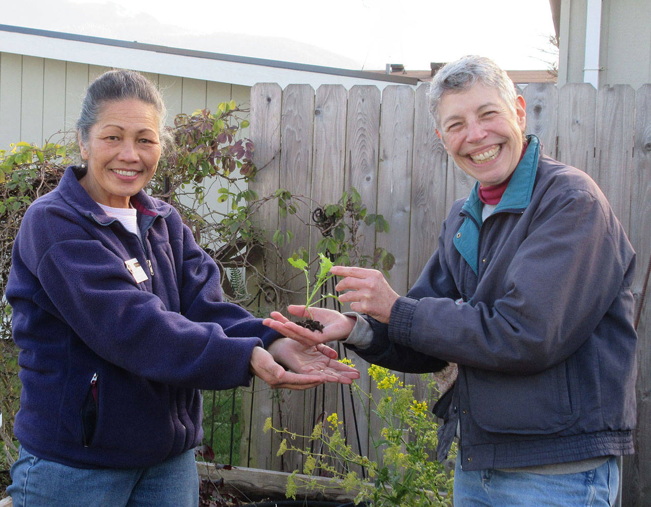 Audreen Williams, left, and Jeanette Stehr-Green look to provide information about successful vegetable gardening on the north Olympic Peninsula via Zoom on Thursday, March 25. Submitted photo