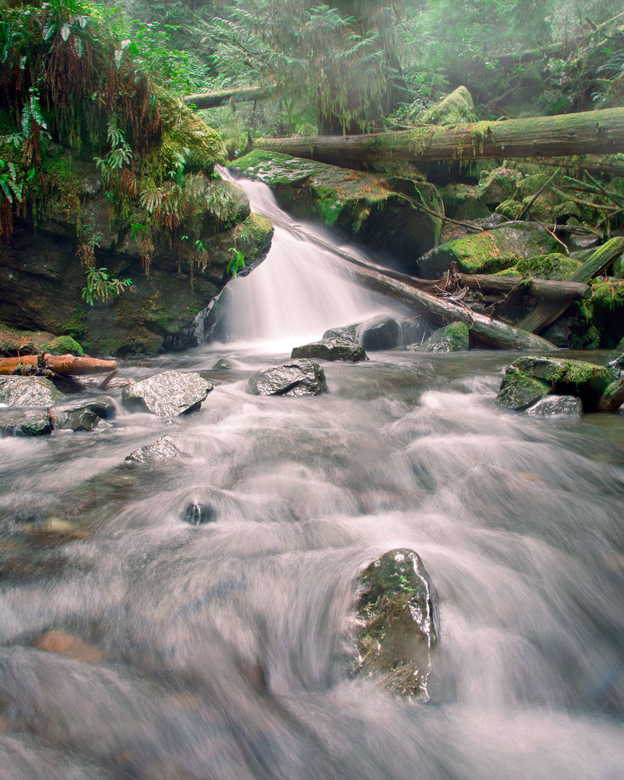 “Rainforest Silk,” an image from Murhut Falls west of Brinnon, is among the photographs gaining statewide recognition for Ewen LeRest of Quilcene. Photo by Ewen LeRest