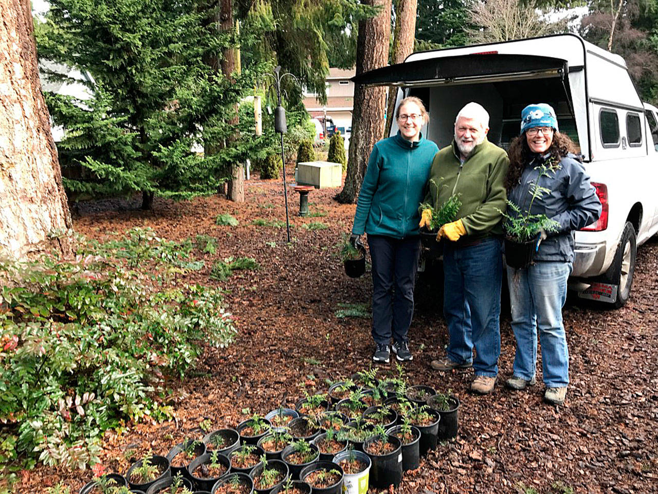 Bruce and Pam Busch have donated an estimated 12,000 tree seedlings in the past 12 years to the Lower Elwha Klallam Tribe for restoration projects. Pictured with Busch are Laurel Moulton, program coordinator for the Clallam County Master Gardeners, at left, and Kim Williams, revegetation supervisor of the Lower Elwha Tribe. Submitted photo