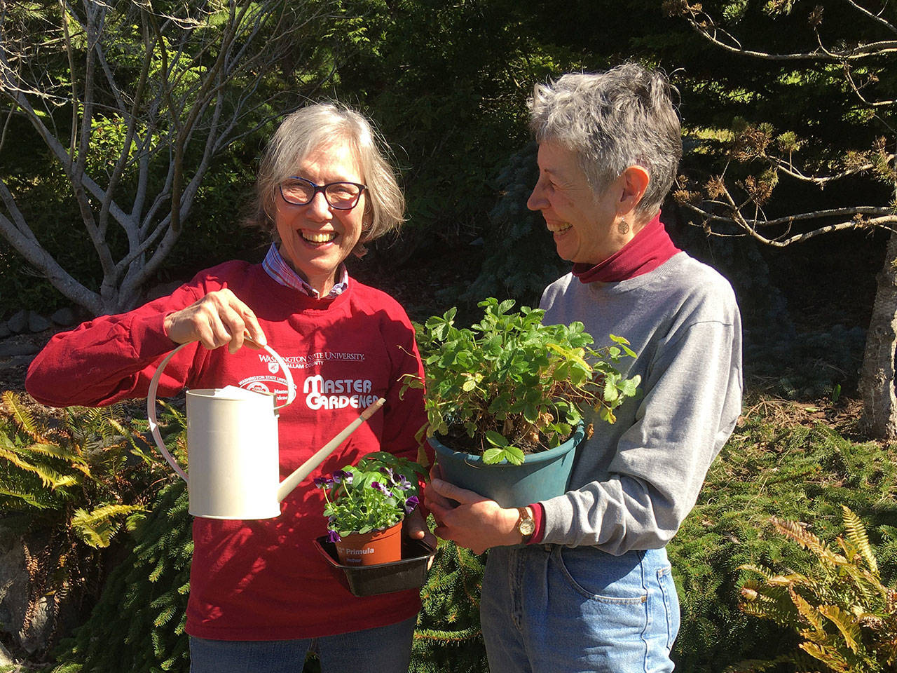 Veteran Master Gardeners Judy English, left, and Jeanette Stehr-Green are set to teach gardeners how to grow vegetables and fruits in containers on May 27 via Zoom. Photo courtesy of Judy English