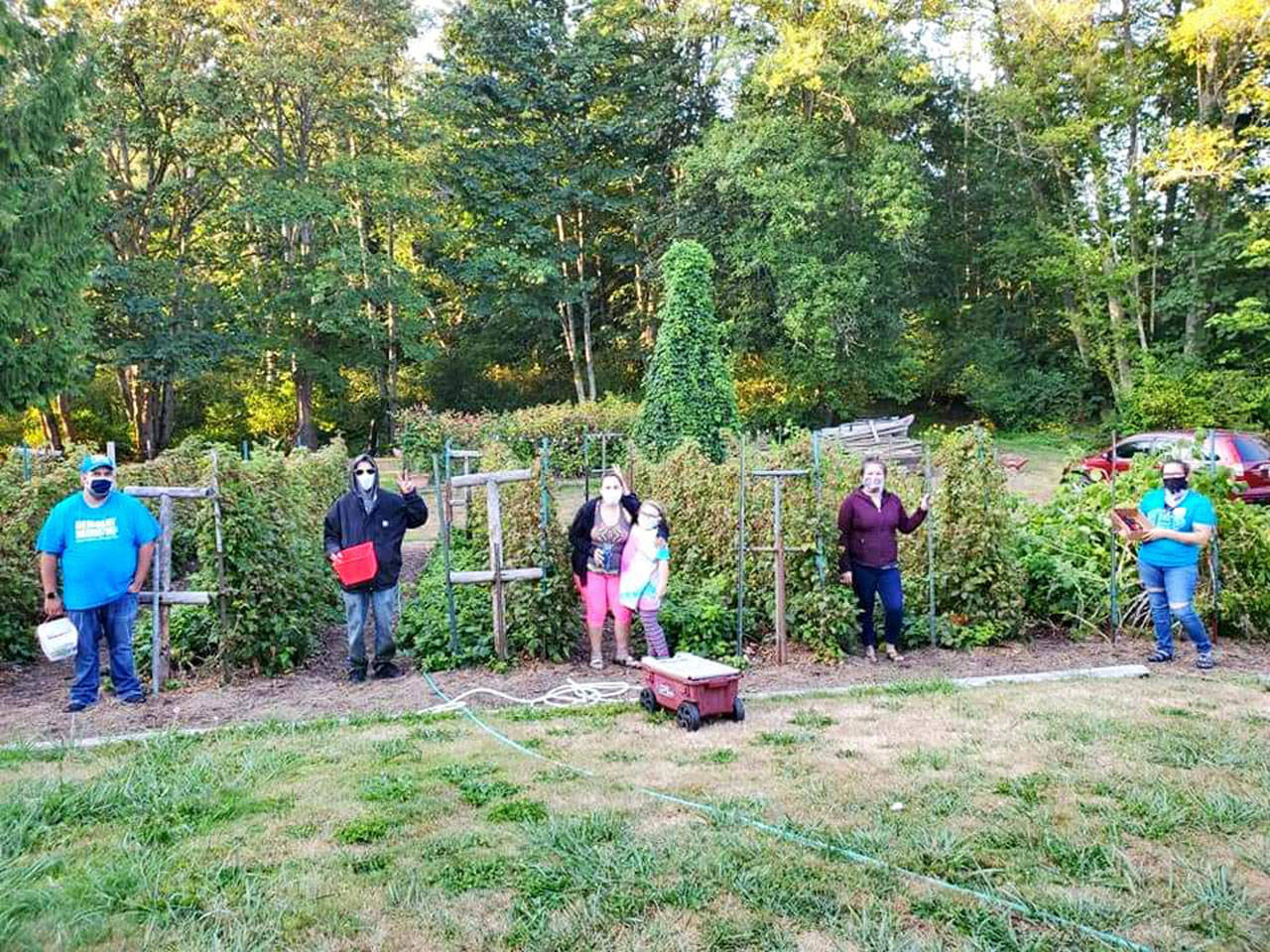 The WSU Extension Gleaning Program is seeking local fruit and vegetables not being collected by property owners. Each year, gleaners rescue tens of thousands of pounds of produce that would otherwise go to waste, program organizers say. Photo courtesy of WSU Extension Gleaning Program