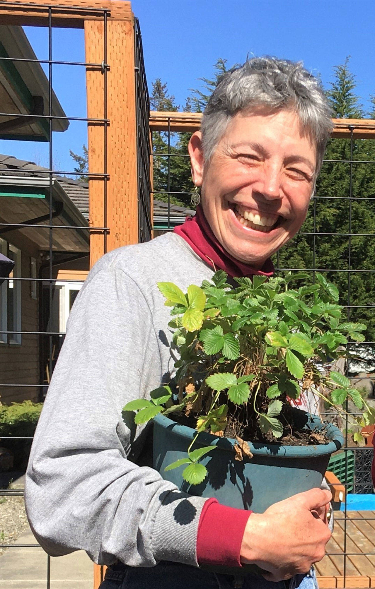 Jeanette Stehr-Green, a veteran Master Gardener and berry enthusiast, will instruct gardeners on growing strawberries via Zoom on Saturday, June 19. Submitted photo