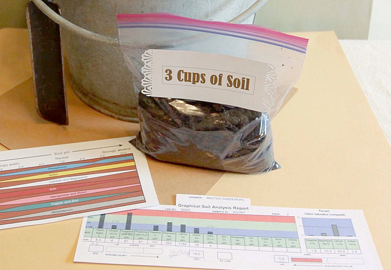 With some planning and ingredients to feed and amend soil, you can convert dirt into good garden soil. Photo by Sandy Cortez