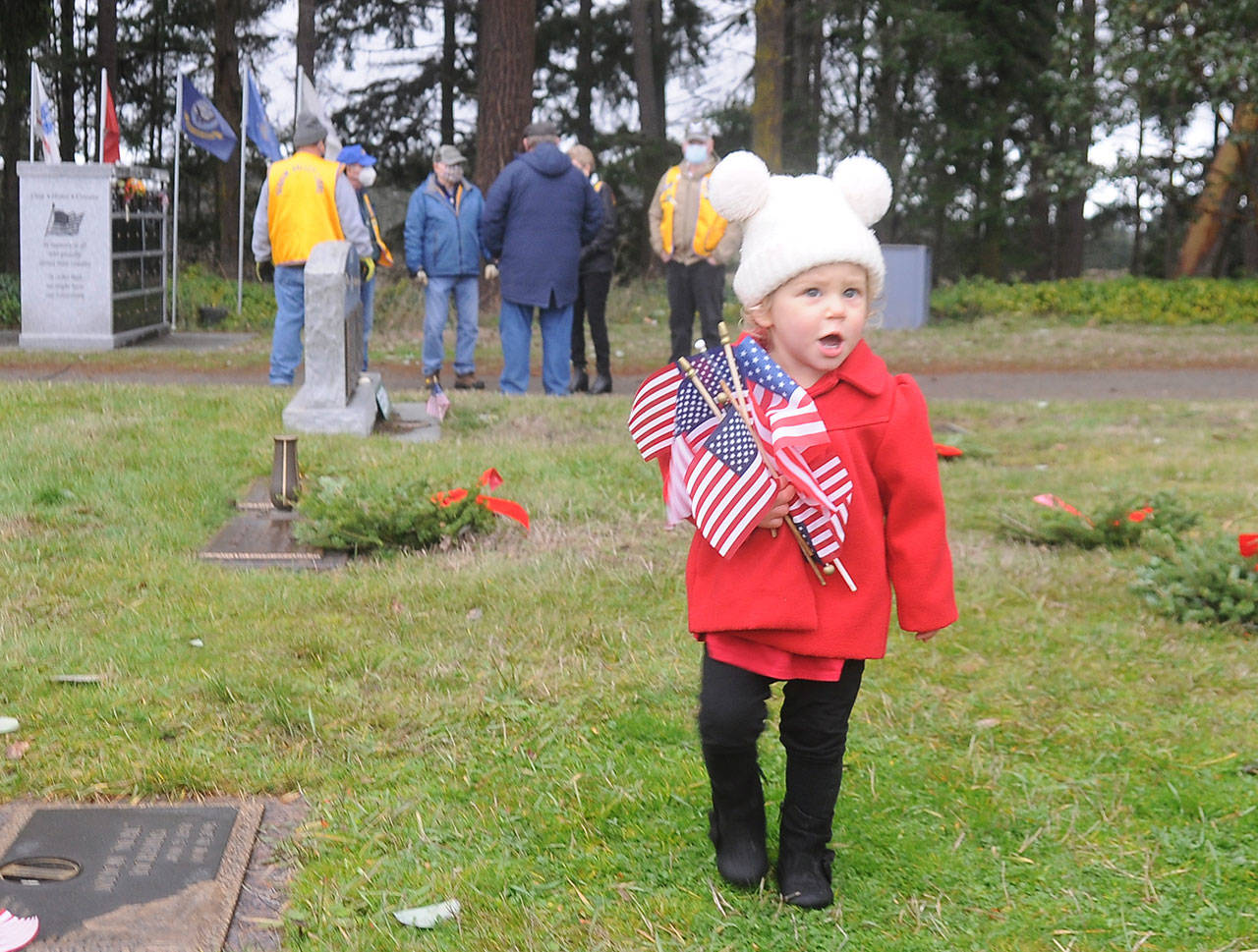 Adelyn Tordini, 19 months, of Whidbey Island, enjoys collecting tiny American flags at the Sequim View Cemetery following the Wreaths Across America event in December 2020. Tordini is the granddaughter of Judy Tordini, one of the event's organizers and co-chair of DAR's new Junior American Citizen club. Sequim Gazette file photo by Michael Dashiell