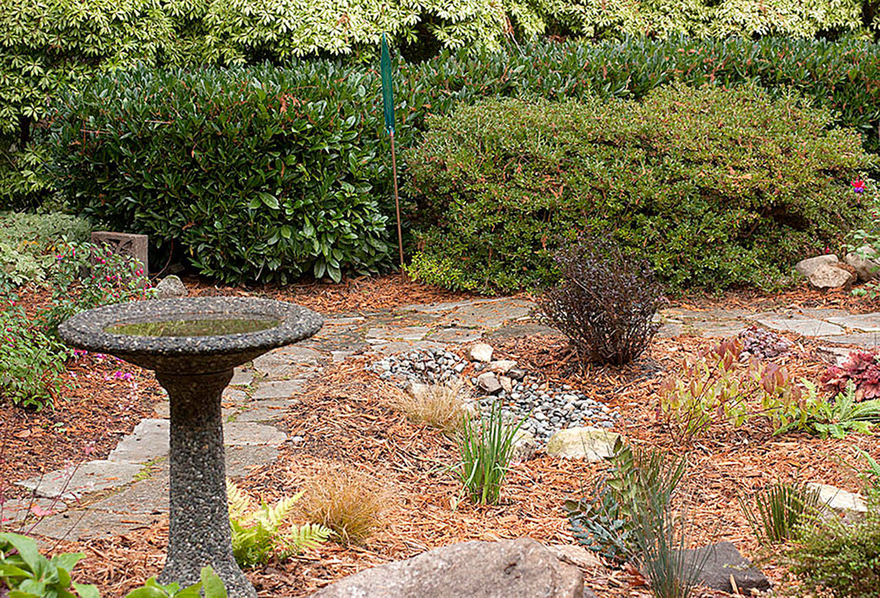 Rain gardens are planted depressions where water from roofs, driveways, lawns and other surfaces is directed. Soil and plants in the rain garden filter contaminants from the runoff water, allow it to soak into the soil rather than flow into a storm drain or waterway. Photo courtesy of Susan Kalmar