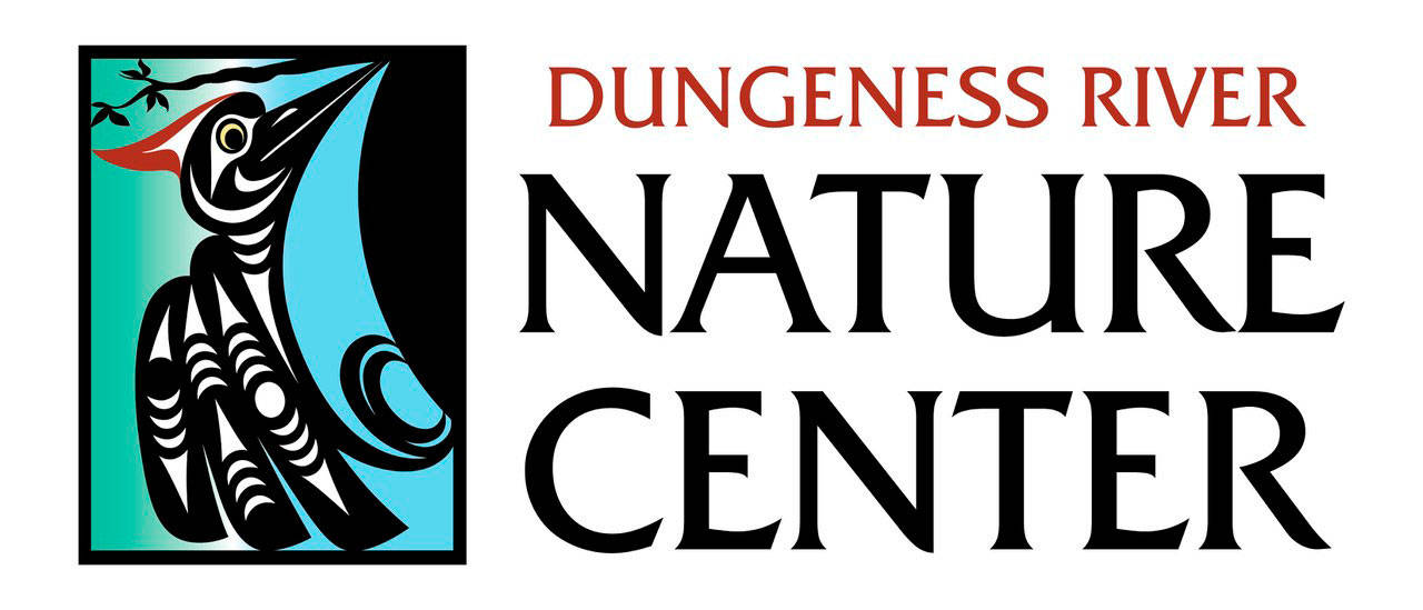 The newly-christened Dungeness River Nature Center logo. Artwork courtesy of Dungeness River Nature Center