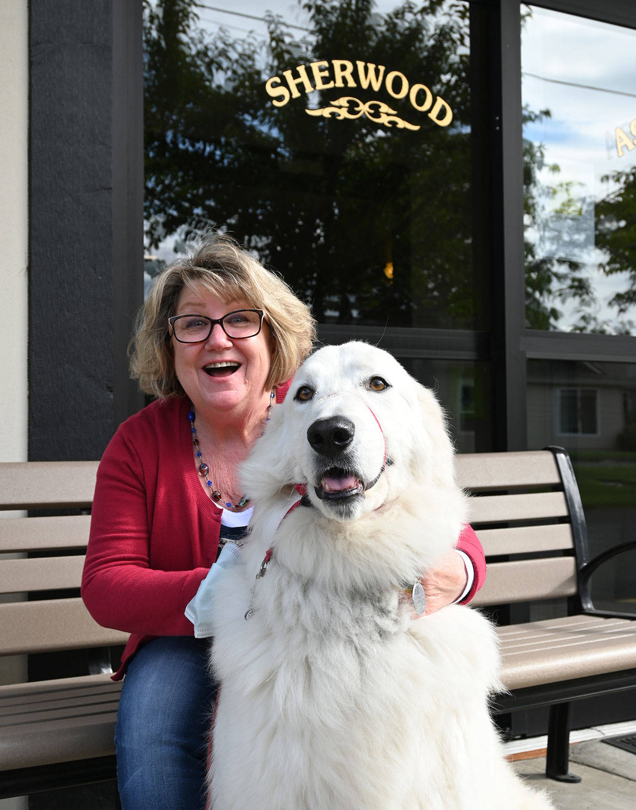 Sherry Barnhart, receptionist/administrative assistant at Sherwood Assisted Living, visits last week with Thor, a Maremma sheepdog who visits facility residents. Sequim Gazette photo by Michael Dashiell
