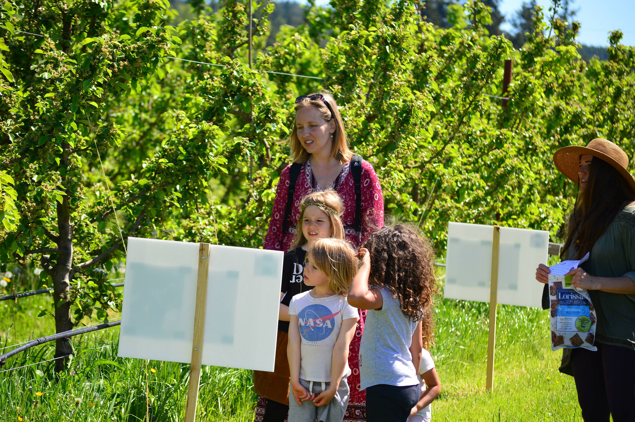 Attendees of a book walk at Finnriver check out signs installed over a mile-long walk. Photo courtesy of Katy Bowman