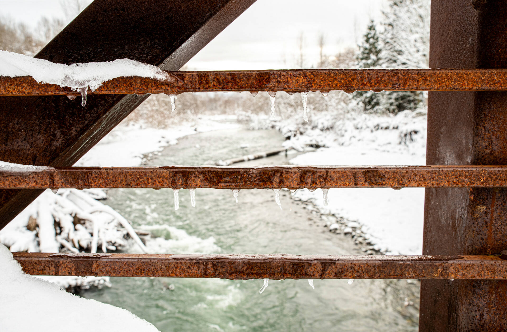 Ice clings to the railing on the historic bridge at Railroad Bridge Park on Dec. 27. Sequim Gazette photo by Emily Matthiessen