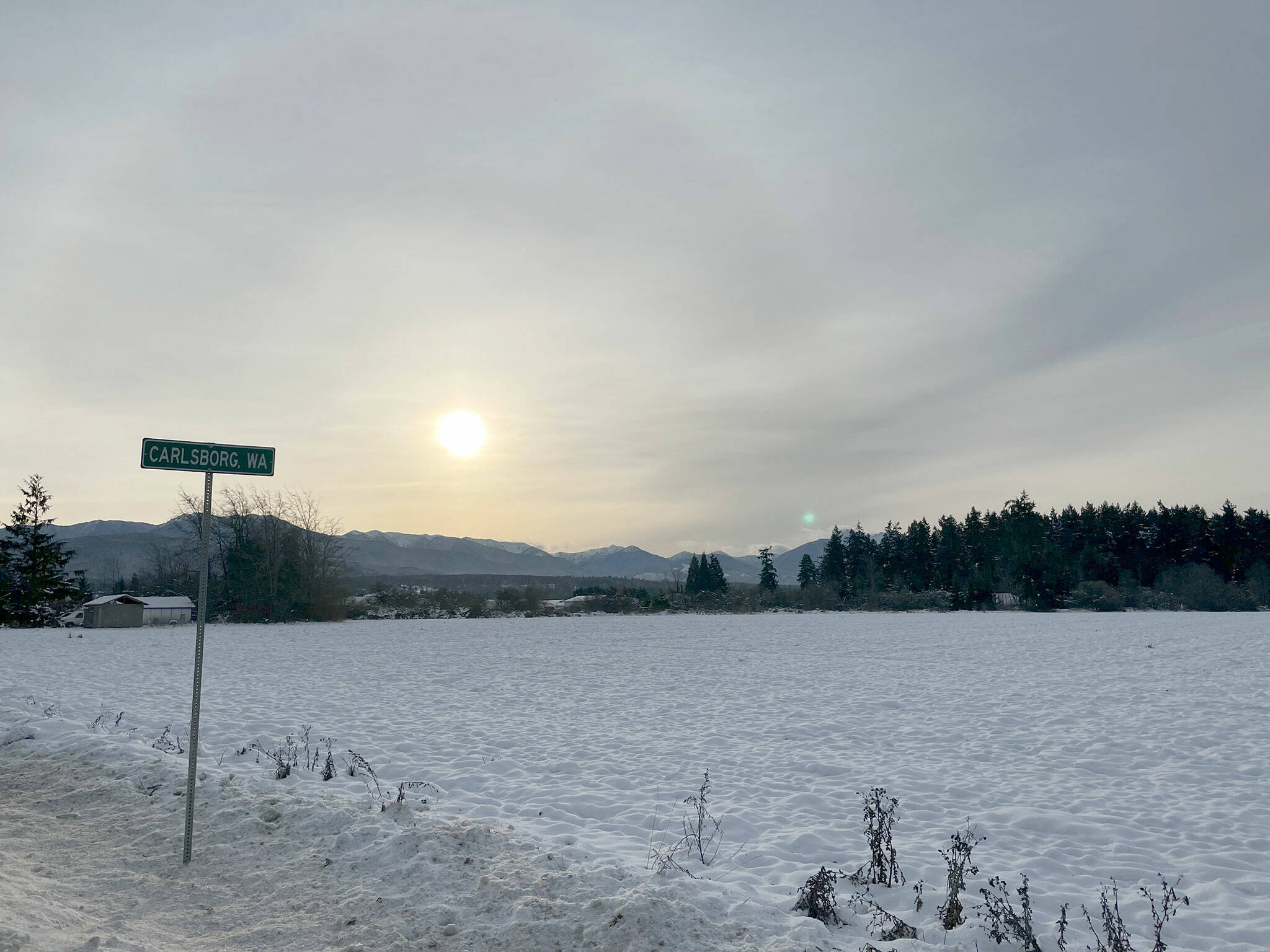 The sun radiates fields covered in snow in Carlsborg last weekend. Sequim Gazette photo by Matthew Nash