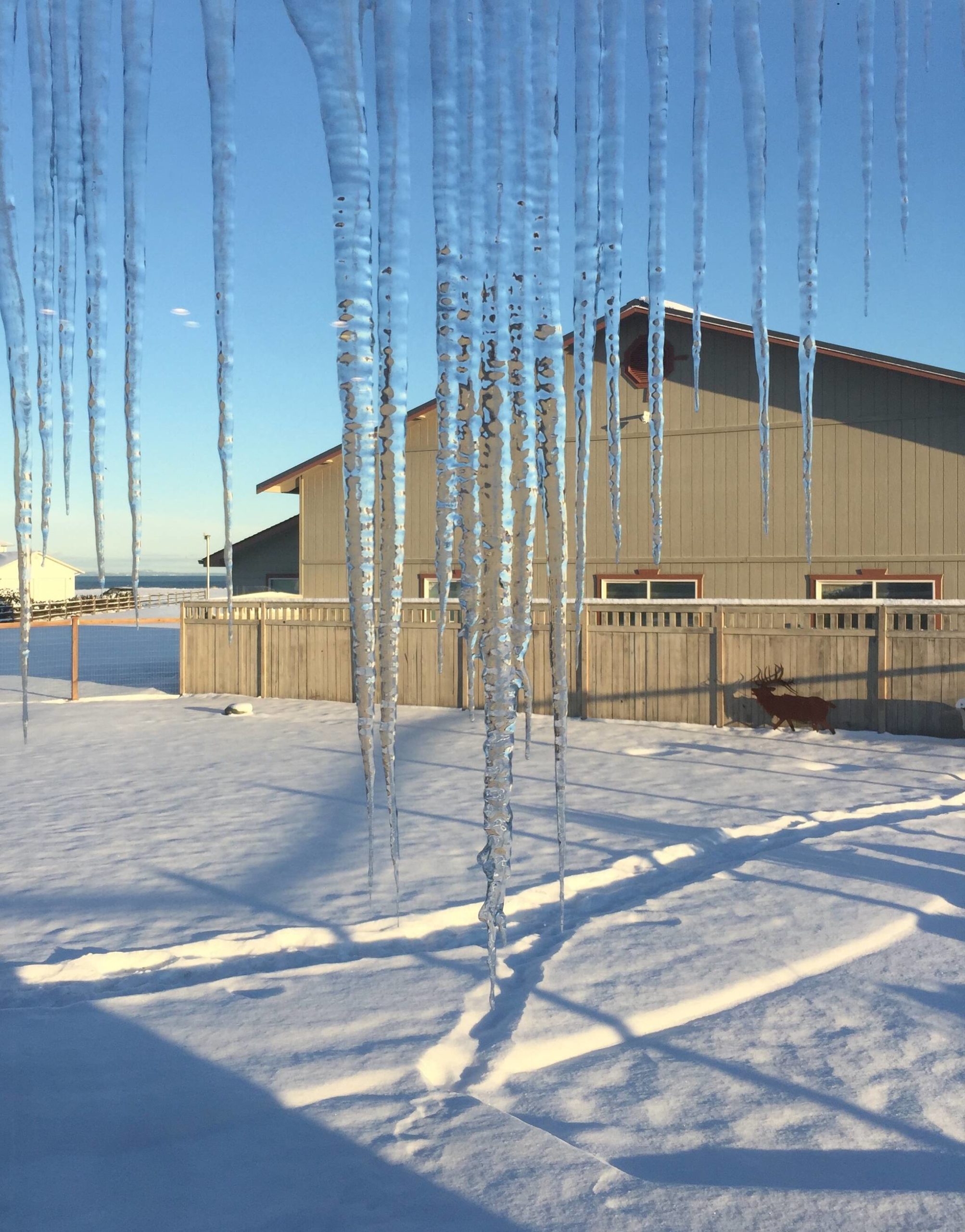 Contributor David Woodcock spotted these icicles in Sequim last week.