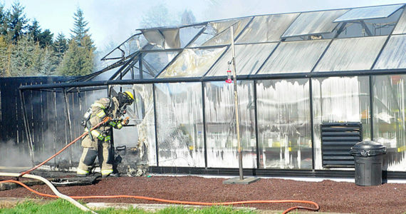 Clallam County Fire District 3 firefighters contain hot spots in a greenhouse fire on Wednesday, Feb. 16 near Heath Road. Sequim Gazette photo by Matthew Nash
