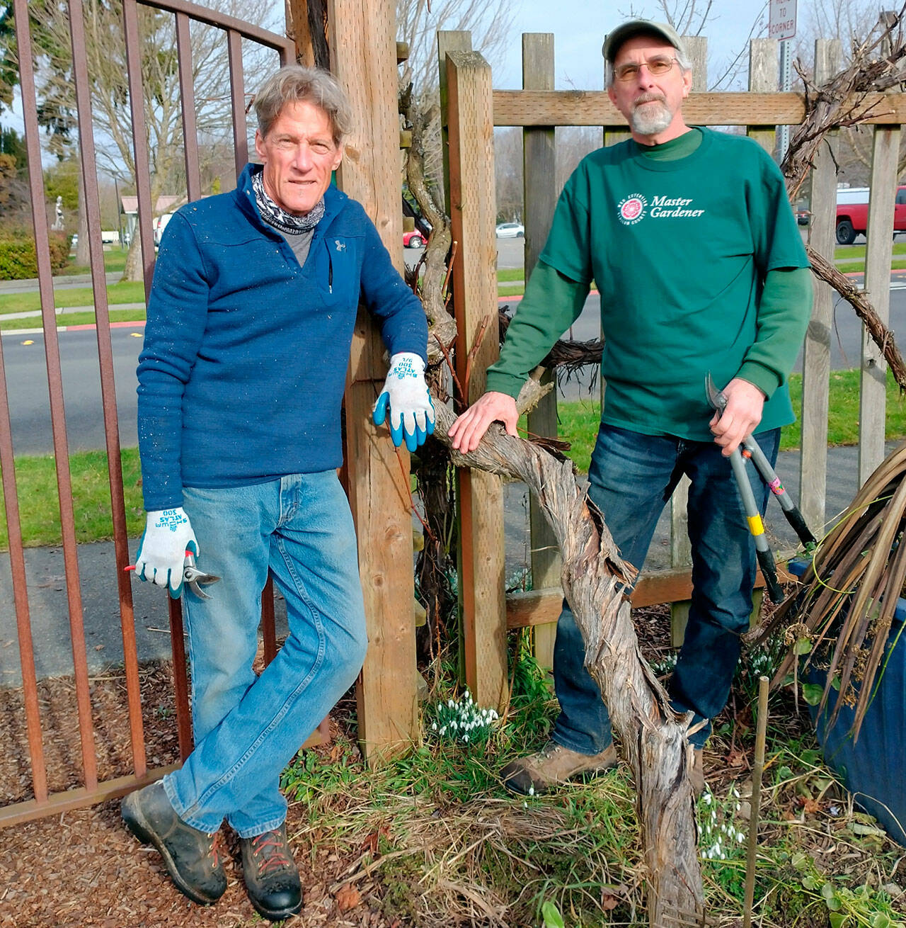 Clallam County Master Gardeners Gordon Clark and Keith Dekker will teach local gardeners how to prune successfully from 10:30 a.m.-noon on Saturday, April 2, at the Master Gardener Demonstration Garden, 2711 Woodcock Road.