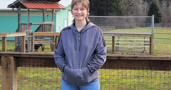 4-H Club member Fern Knobel wrote the theme for the Clallam County Fair, which will return this summer after being on hold for two years.