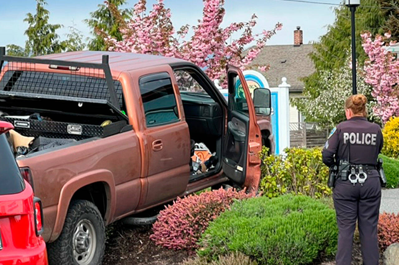 Photo courtesy of Roger Huntman/ Sgt. Carolee Edwards inspects the scene in front of Hurricane Ridge Veterinary Hospital where a Tacoma woman crashed a truck after allegedly evading police throughout the City of Sequim.