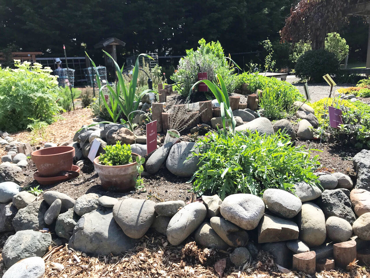 Photo by Susan Kalmar
Check out the herb spiral at the Clallam County Master Gardener Woodcock Demonstration Garden, 2711 Woodcock Road.