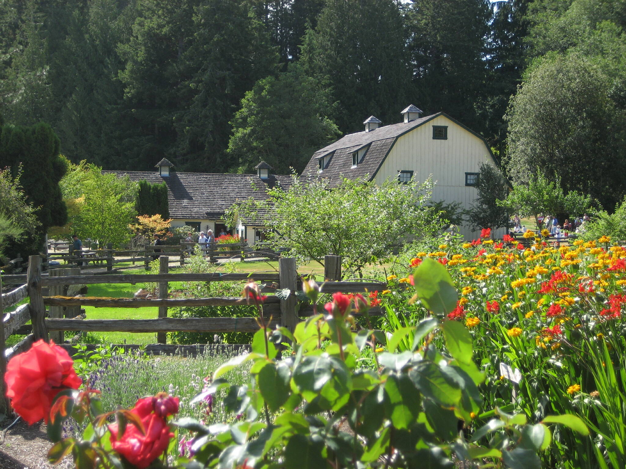 The annual Concerts in the Barn series in Quilcene runs July 9-Sept. 4. Photo courtesy of Concerts in the Barn
