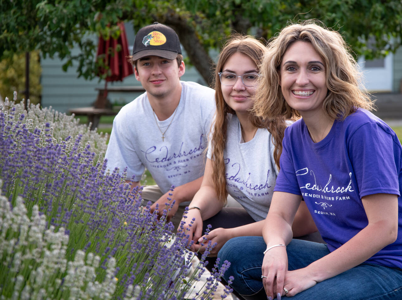 From front to back, Ashley, Annaliece and Jayden Possin pause by some Melissa and Royal Velvet lavender at the newest Cedarbrook Lavender property. Cedarbrook has been operating in Sequim since 1967 and the Possins are the third owners. Sequim Gazette photo by Emily Matthiessen