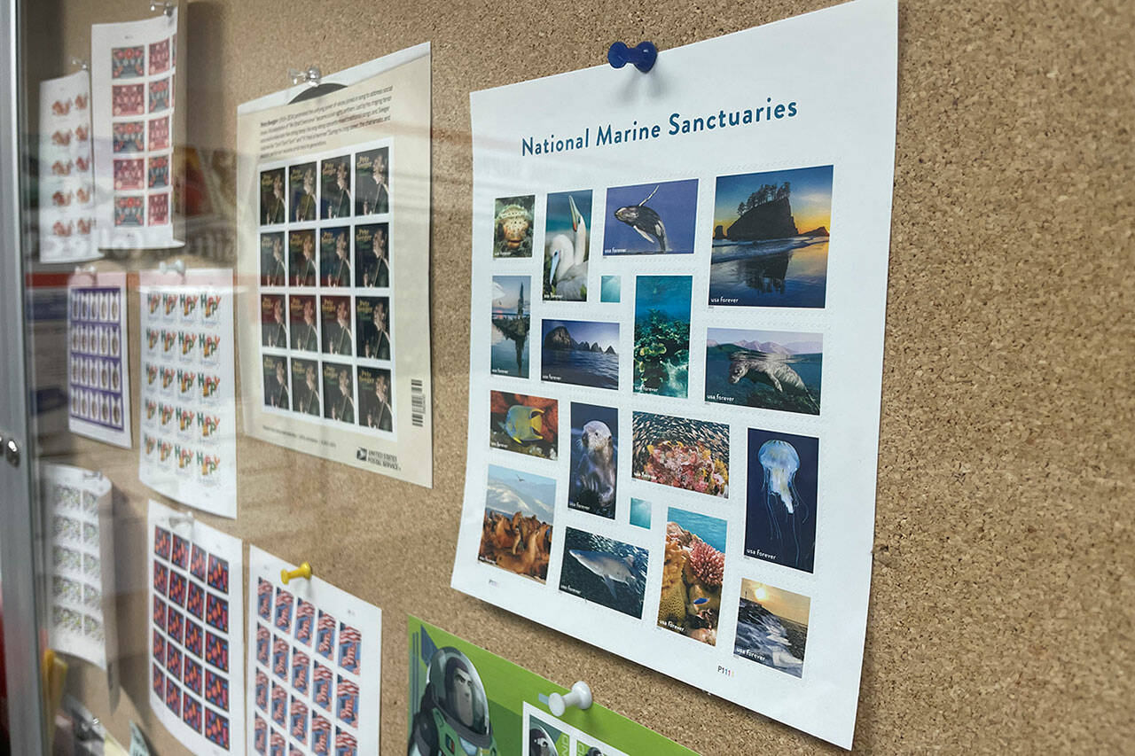 Sequim Gazette photo by Matthew Nash/ A new USPS stamp set, seen here in the Carlsborg Post Office, celebrating 50 years of the National Marine Sanctuary system includes Crying Lady Rock on Second Beach just outside La Push in Clallam County. It’s available nationwide and online.