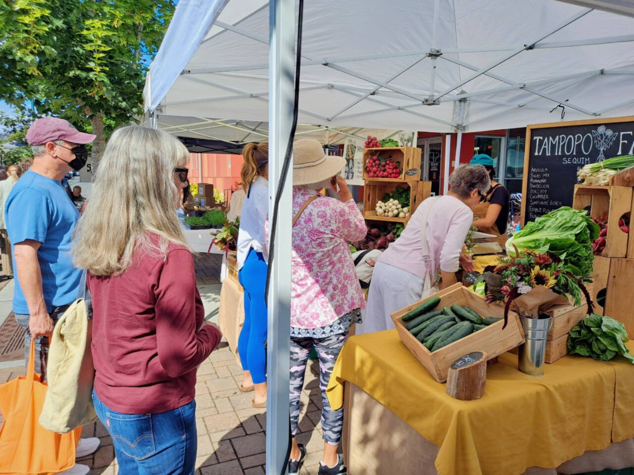 Photo by Aaron Brown/Sequim Farmers & Artisans Market / Visitors to the Sequim Farmers & Artisans Market check out the offerings at the Tampopo Farm booth.