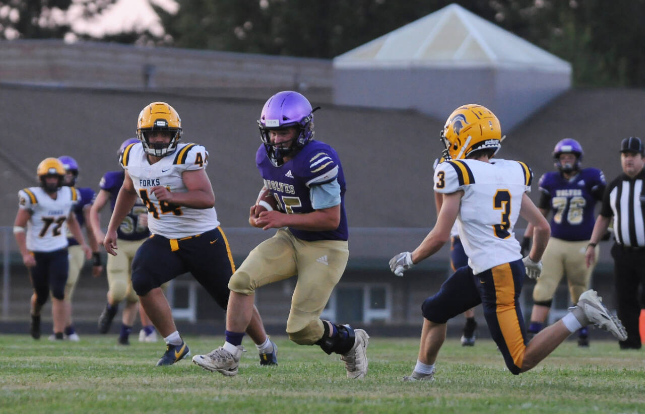 Sequim Gazette photos by Michael Dashiell
Sequim’s Thomas Reandeau looks for running room as Forks defenders Sloan Tumua (44) and Connor Demorest (3) close in, in the Wolves’ Sept. 2 season opener.