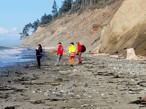 Photo courtesy of Clallam County Sheriff’s Office
Clallam County Search and Rescue crews walk the beach at Dungeness Spit on Sept. 16. The sheriff’s office suspects the remains found are from a seaplane crash near Whidbey Island on Sept. 4.