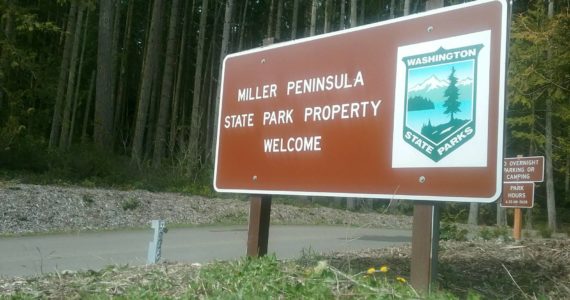 Washington State Parks look to create a master plan for development of Miller Peninsula as the next "destination" state park. Sequim Gazette file photo by Michael Dashiell