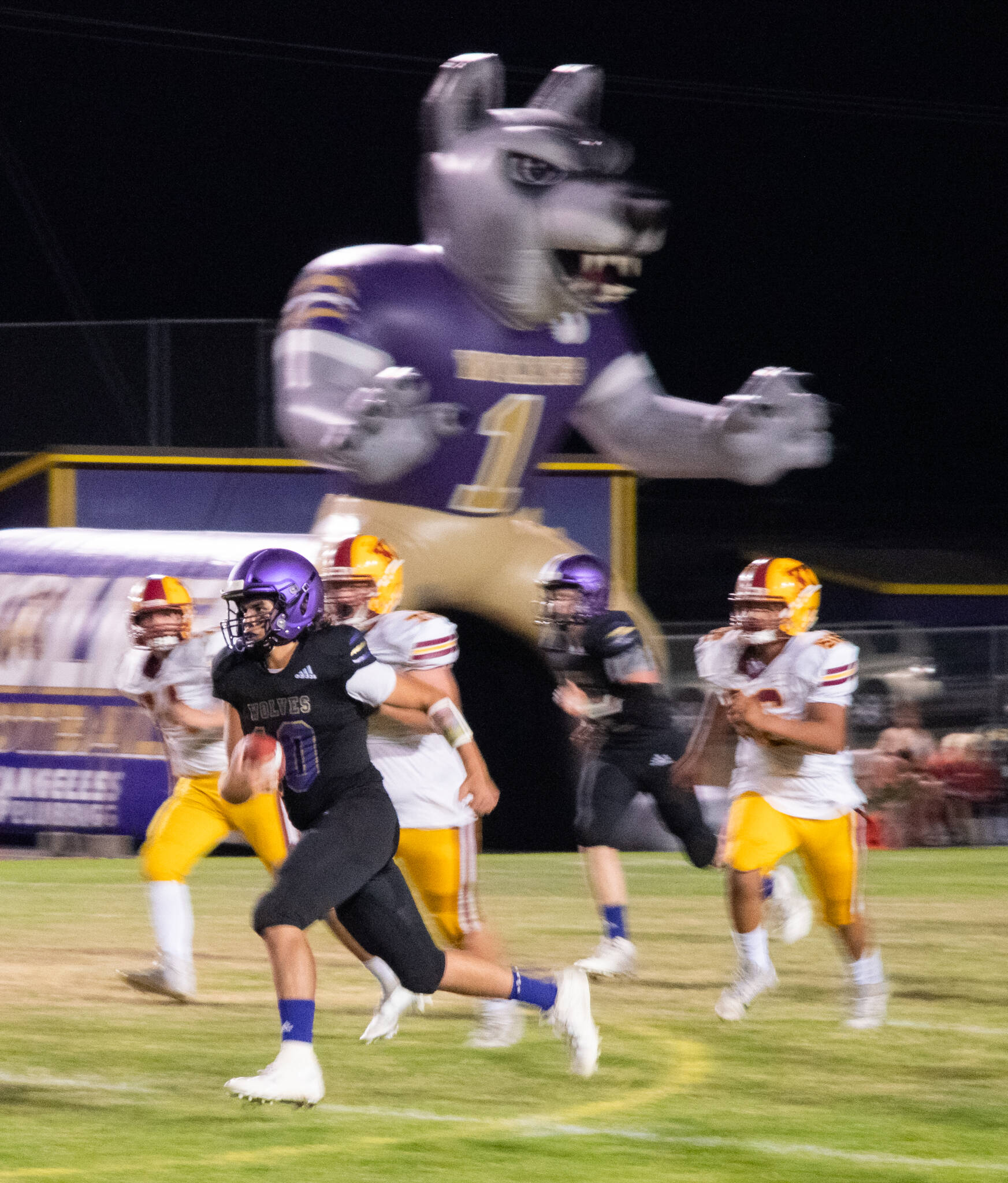 Sequim Gazette photo by Emily Matthiessen
Sequim’s Lars Wiker races to a big gain in the Wolves’ 27-13 Homecoming victory on Sept. 30.