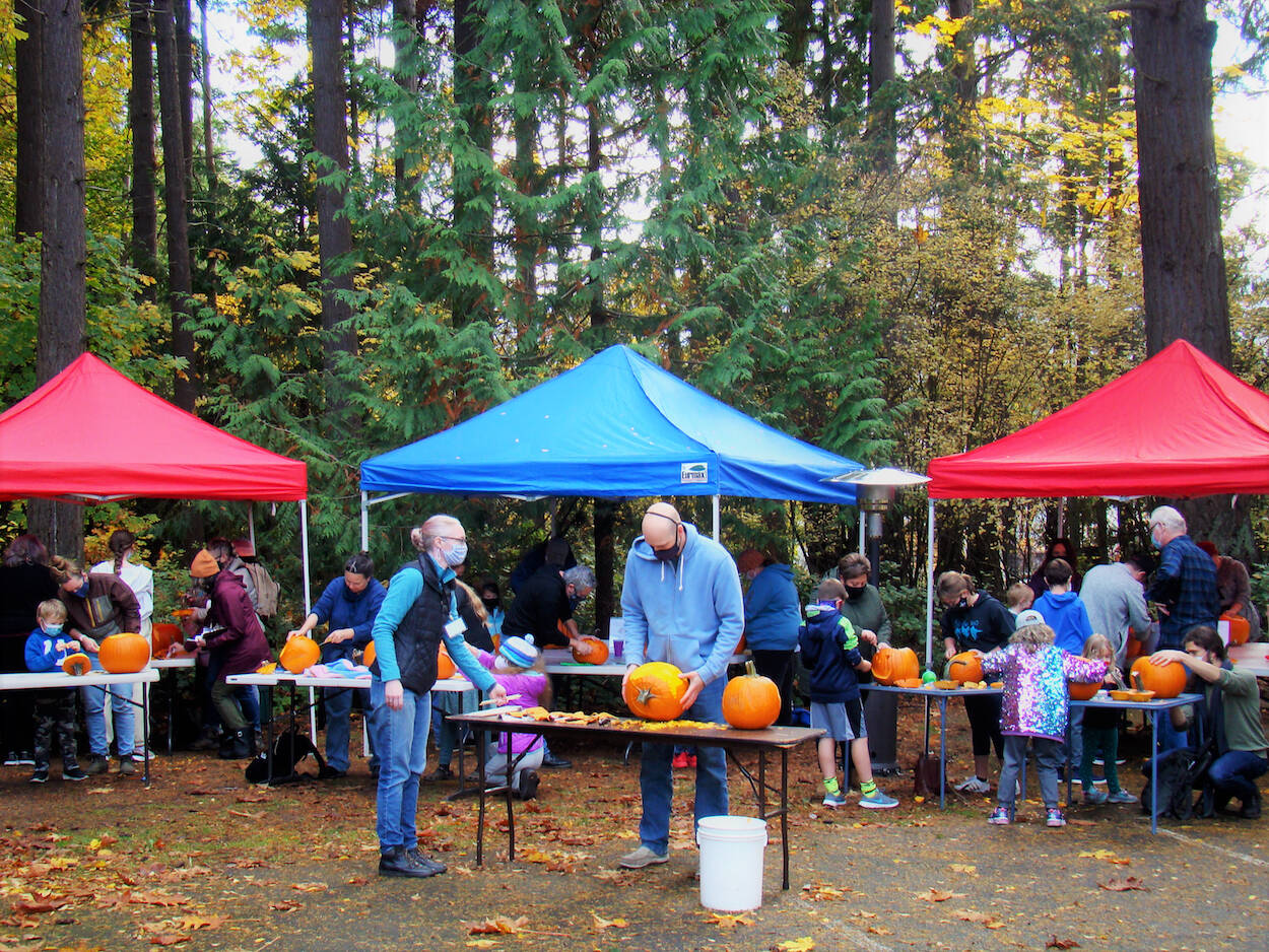 Photo by Amy McIntyre / Community members take part in a pumpkin carving contest at the Port Angeles Fine Arts Center in 2021.