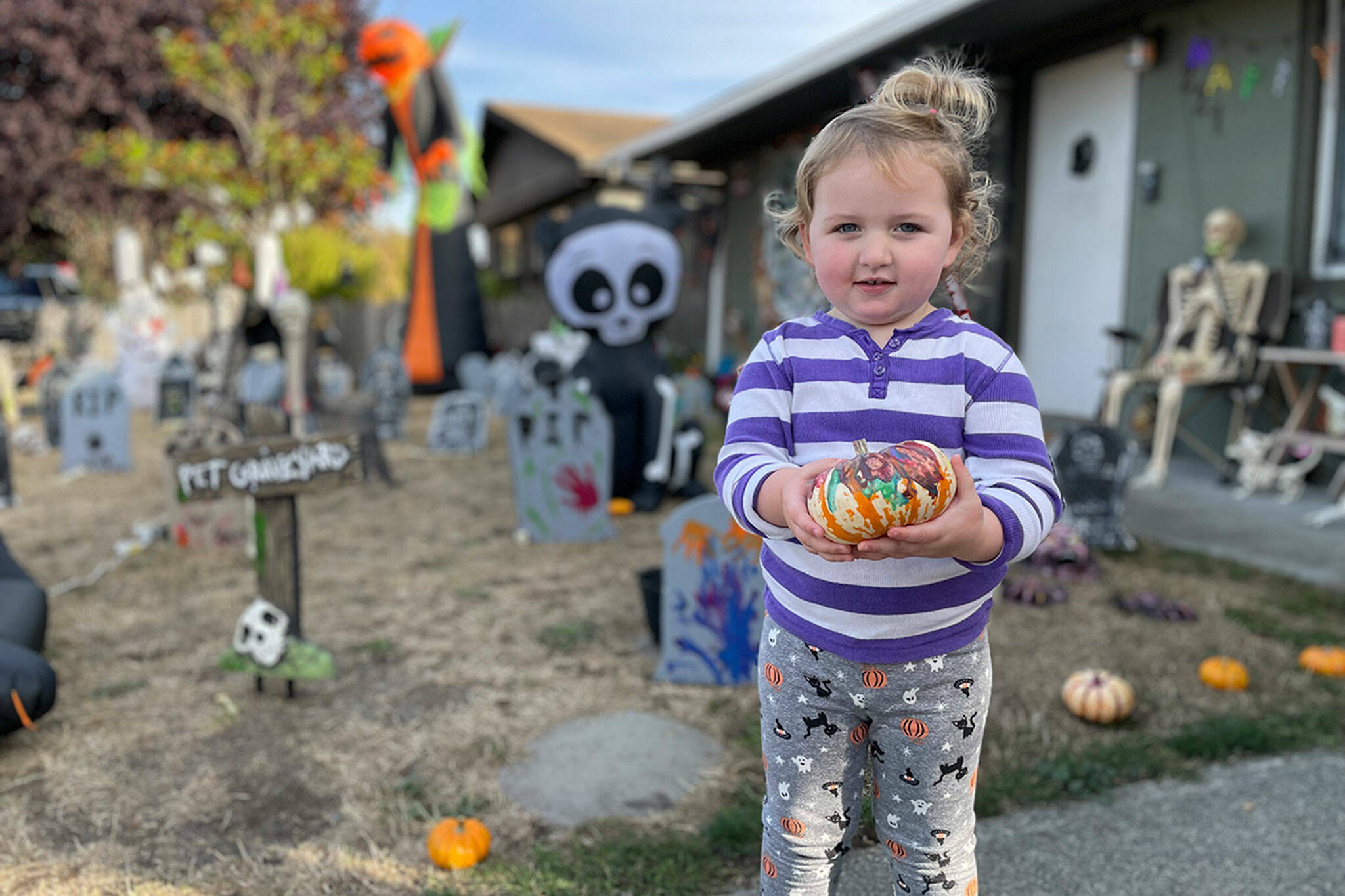 Sequim Gazette photo by Matthew Nash
Holding one of many hand painted pumpkins, 2-and-a-half-year-old Parker Lomker stands beside her downtown Sequim yard where decorations are placed everywhere for Halloween. The family will set up lights, smoke and music on Halloween for trick-or-treaters at their home on the 200 block of West Prairie Street.