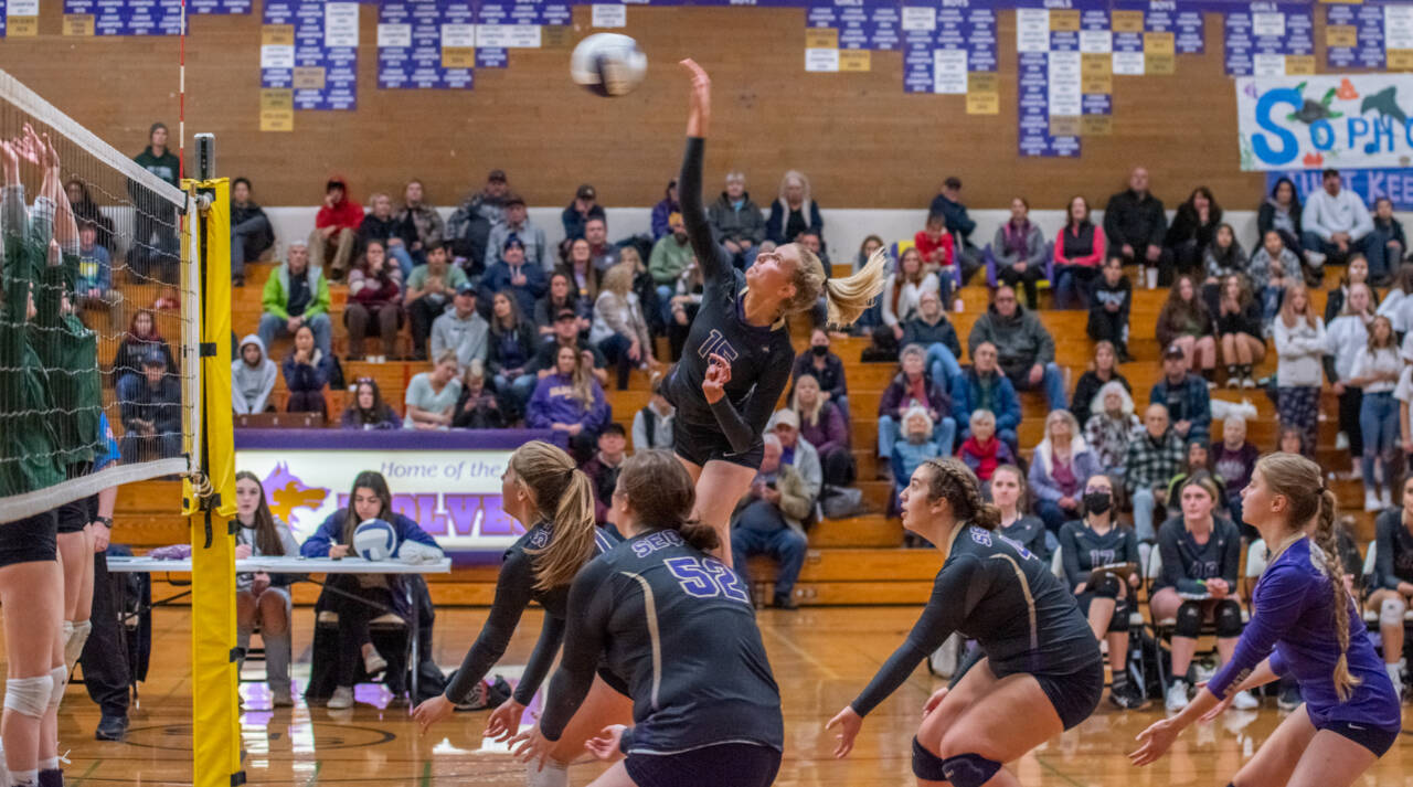 Sequim Gazette photo by Emily Matthiessen
Sequim’s Kendall Hastings, right, looks for a kill in the Wolves’ Olympic League tourney semifinal match against rival Port Angeles on Nov. 3. Sequim swept the Roughriders, 3-0.