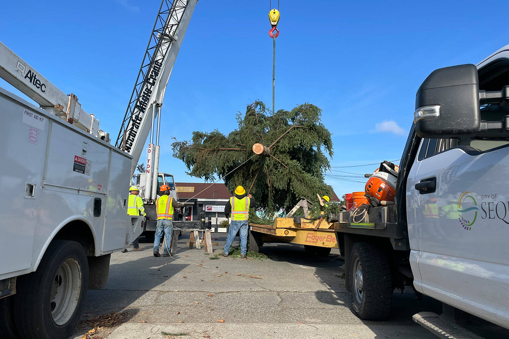 Sequim Gazette photo by Matthew Nash/ After a Sequim resident donated his tree, crews with Accurate Angle Crane and the City of Sequim moved it a few blocks on Nov. 15 to Centennial Place, the northeast corner of Sequim Avenue and Washington Street.