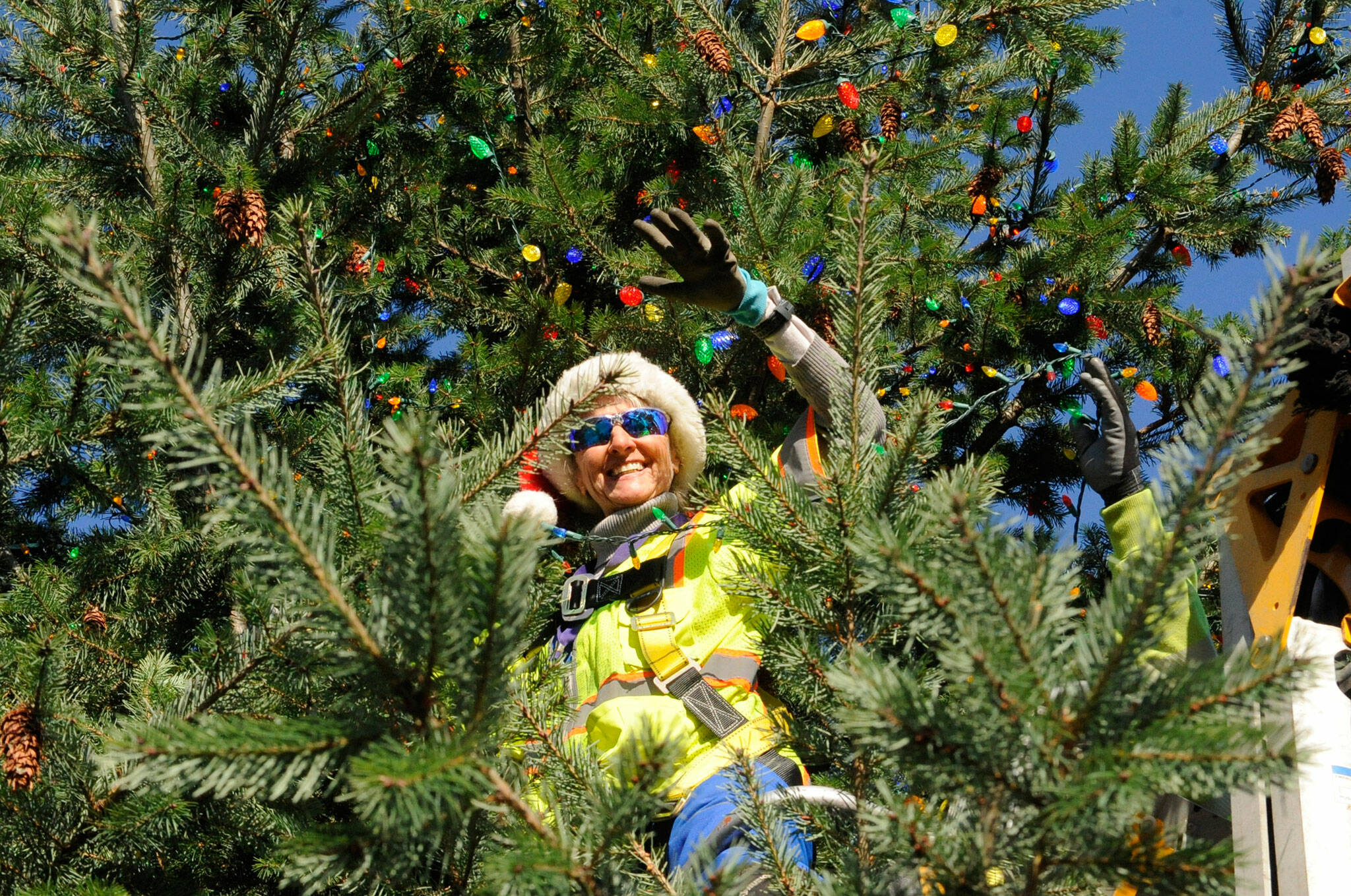 Sequim Gazette photo by Matthew Nash/ Captain Crystal Stout places lights onto the downtown Sequim Christmas tree on Nov. 17.