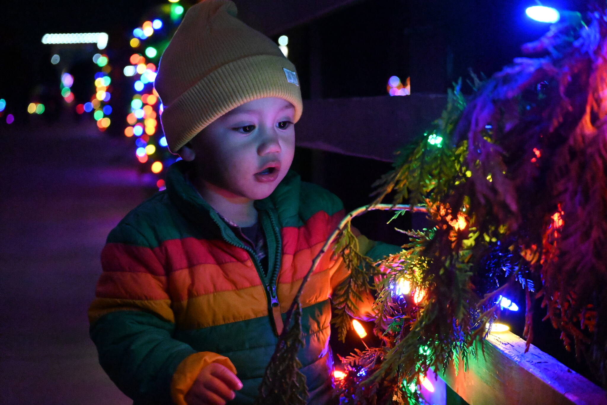 Sequim Gazette photo by Michael Dashiell
Fifteen-month-old Thomas Hanna enjoys the newly-lit historic Railroad Bridge at Railroad Bridge Park on Saturday, Nov. 19. The annual River Center Holiday Nature Mart at the park’s Dungeness River Nature Center, held Saturday and Sunday Nov. 19-20, coincided with Saturday’s bridge lighting. The bridge’s lights will be on display each day at 3 p.m. through December.