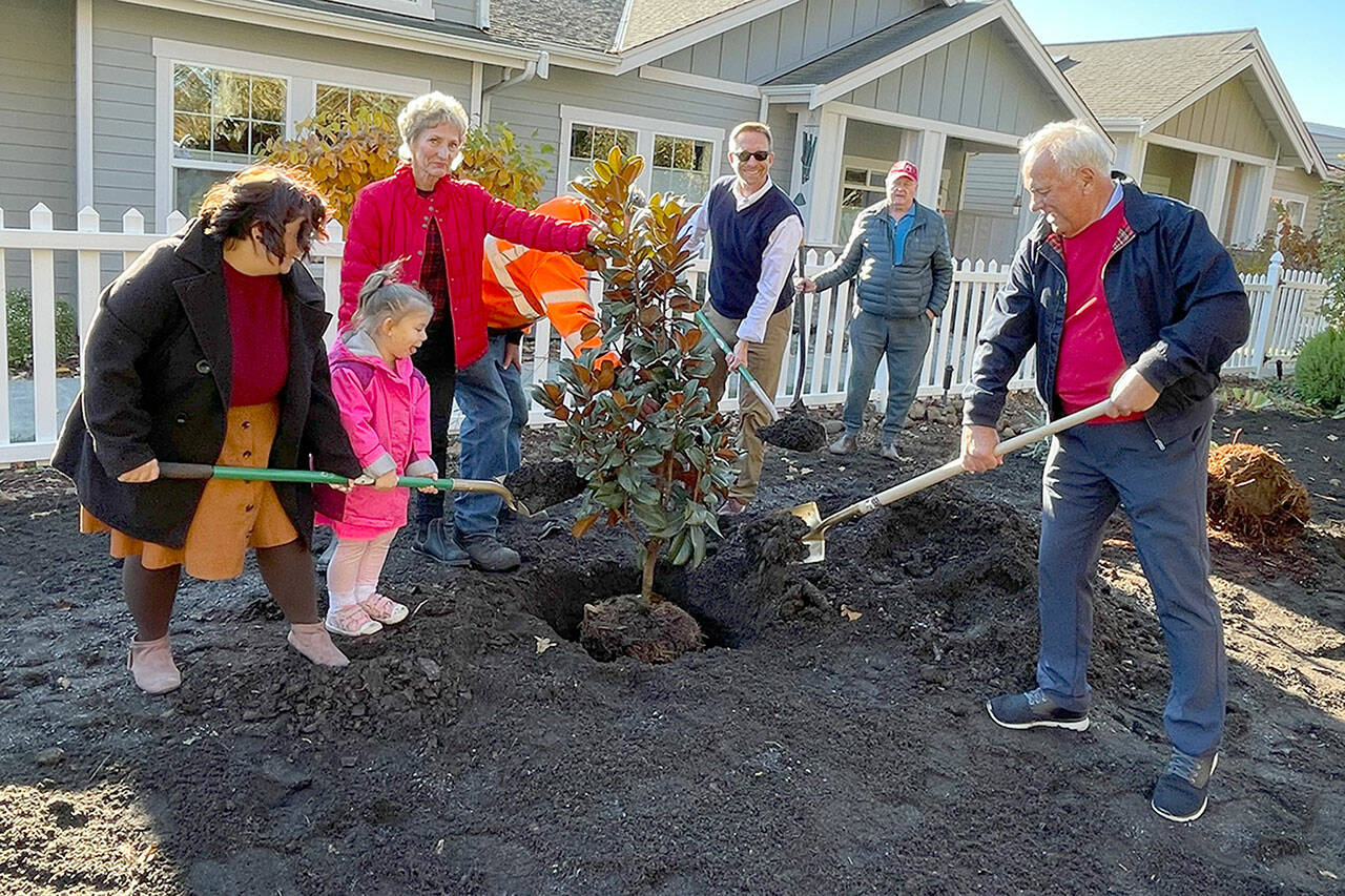 Sequim Gazette photo by Matthew Nash
For the City of Sequim’s Arbor Day, from left, city councilor Rachel Anderson with daughter Luna, Sequim Prairie Garden Club board president Vina Winters, city manager Matt Huish, and mayor Tom Ferrell chip in for the first of three trees to be planted in Pioneer Memorial Park.