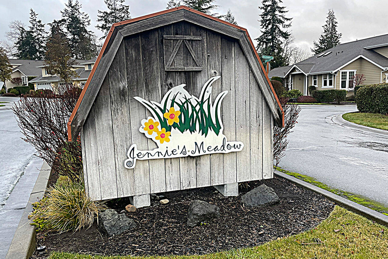 Sequim woman in 90s escapes car fire Sequim Gazette