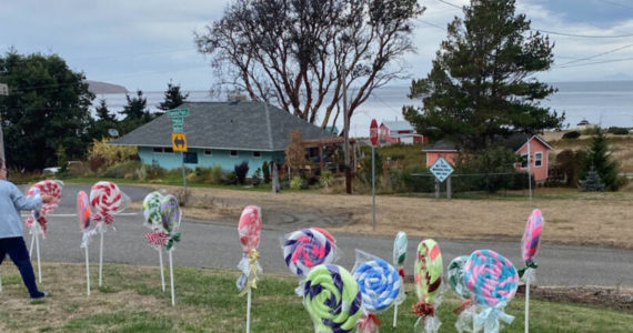 Submitted photo / Neighbors place “lollipop” decorations along Diamond Point Road on or about) Nov. 23. A couple of days later, all but five were missing.