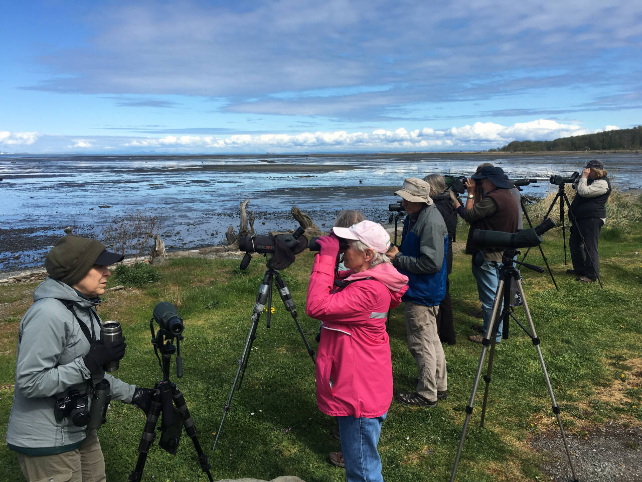 Photo courtesy of Dungeness River Nature Center / Attendees of a recent Olympic BirdFest enjoy a field trip at Dungeness Landing. Registration for the 2023 event is open now at OlympicBirdFest.org.