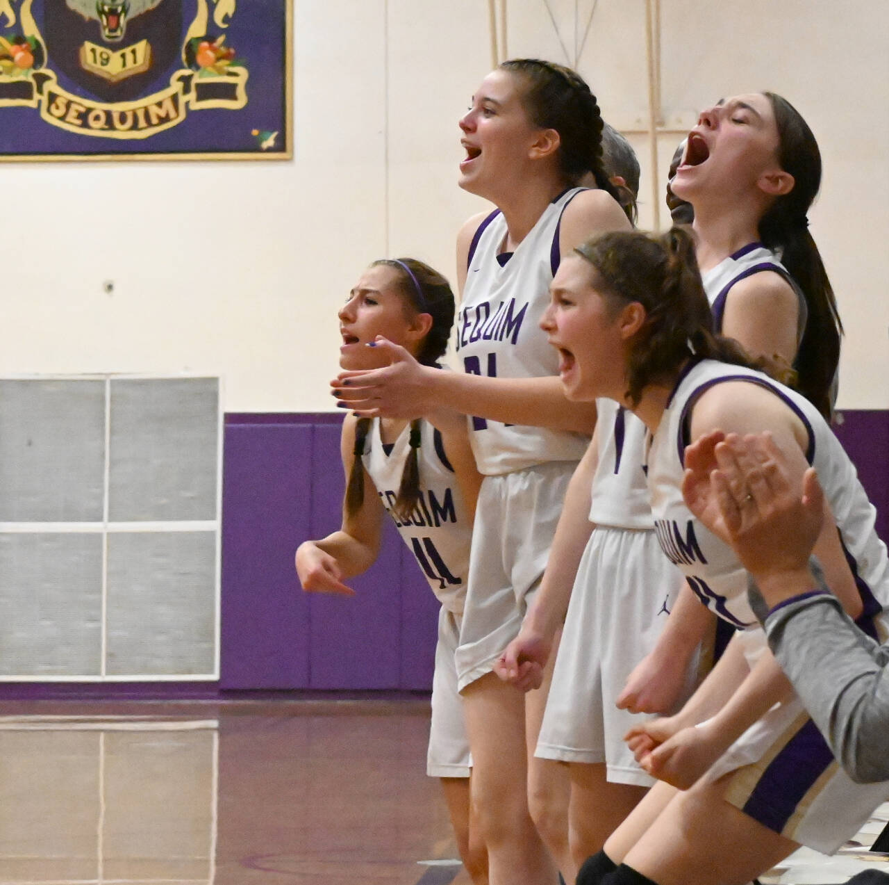 Sequim Gazette photo by Michael Dashiell / Sequim High’s bench erupts after a fourth quarter score in the Wolves’ 38-31 home win over Bainbridge on Jan. 12. Pictured are, from left, are Taryn Johnson, Dani Hermann, Taylor Heyting and Libby Turella.