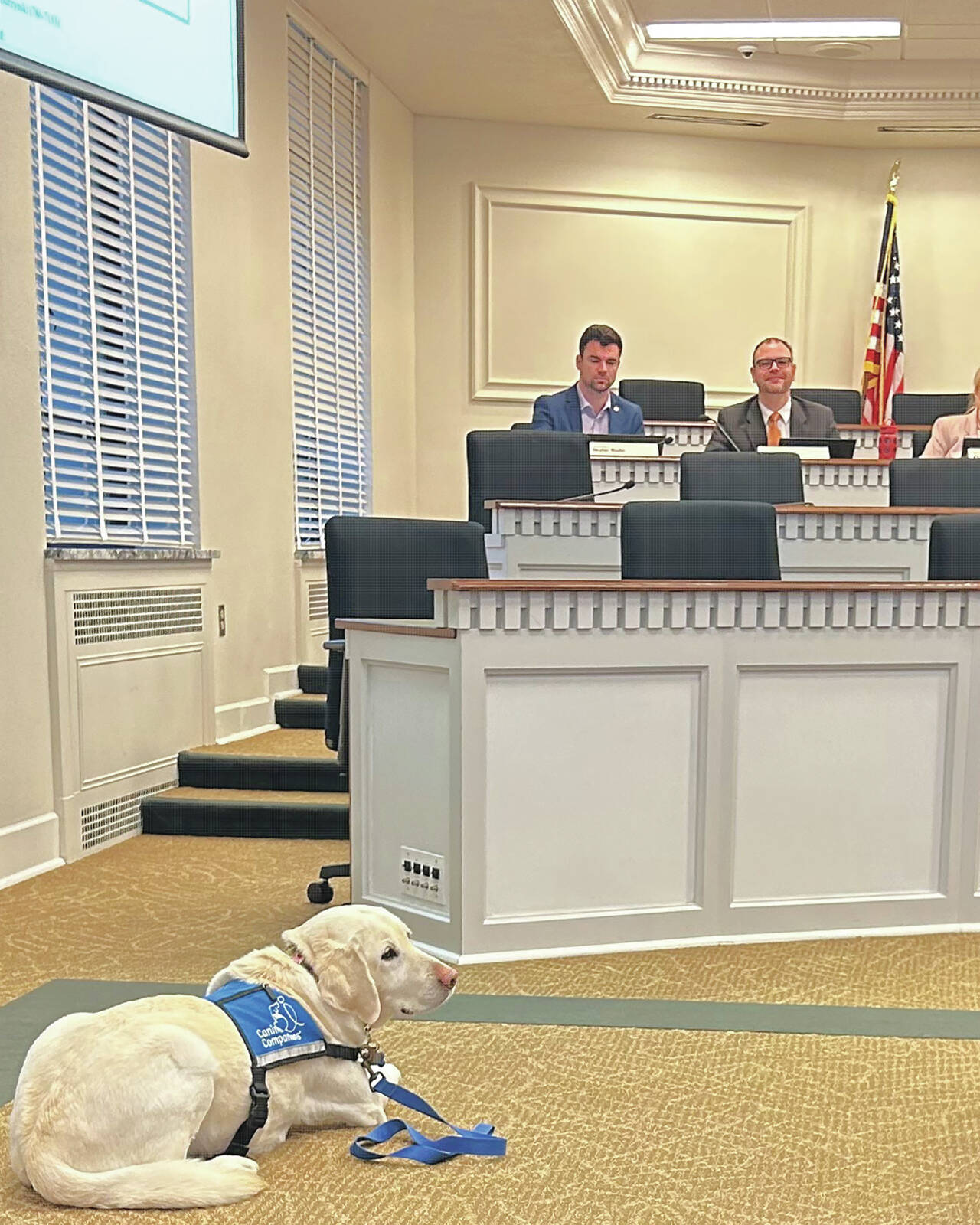 Photo courtesy of WNPA News Service / Courthouse dogs are on hand in Olympia as rules surrounding their appearance in court are clarified in a proposed bill in Olympia.