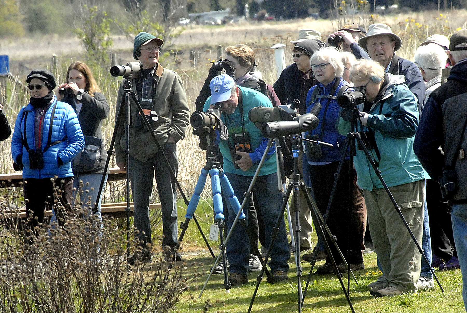 File photo by Keith Thorpe/Olympic Peninsula News Group
Bird watchers search for water fowl on Dungeness Bay from Dungeness Landing County Park north of Sequim during the Olympic BirdFest in 2019.